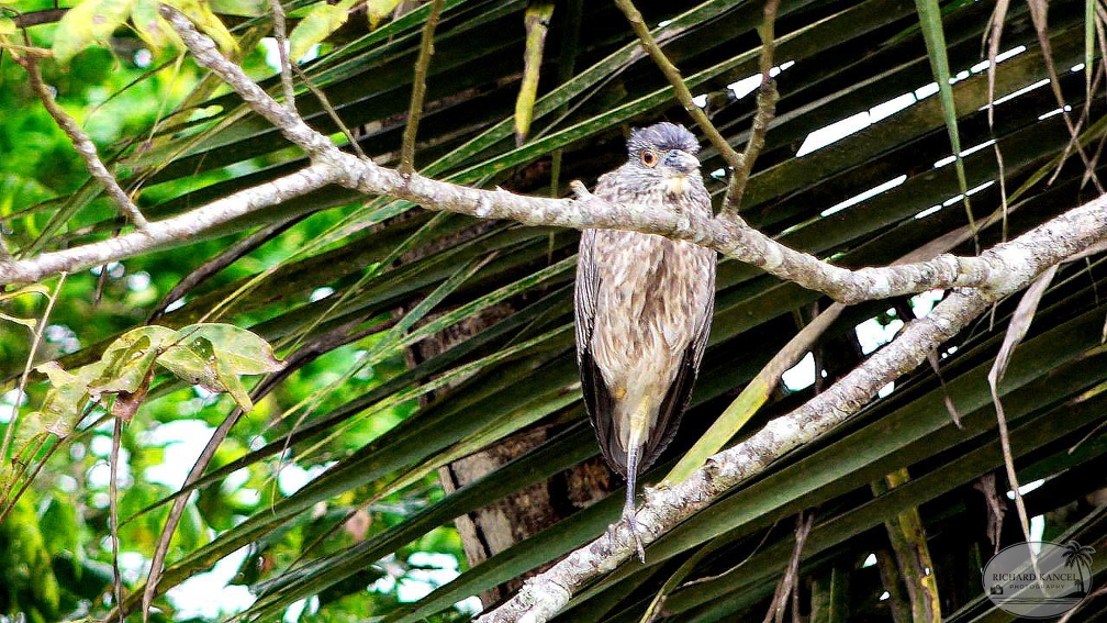 costa-rica-a156.jpg