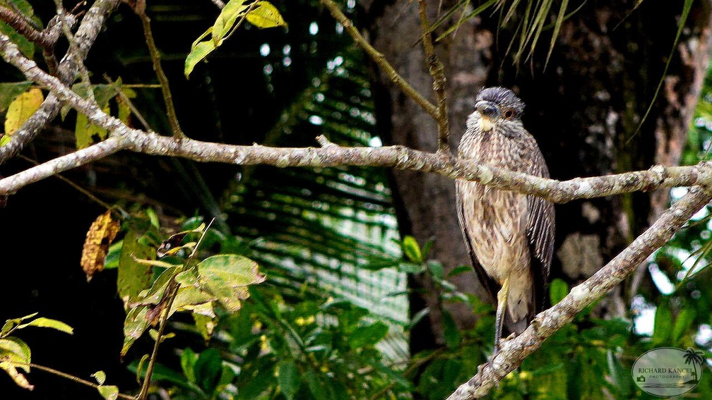costa-rica-a157.jpg