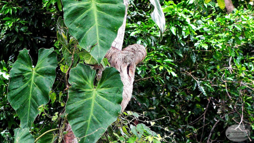 costa-rica-a164.jpg