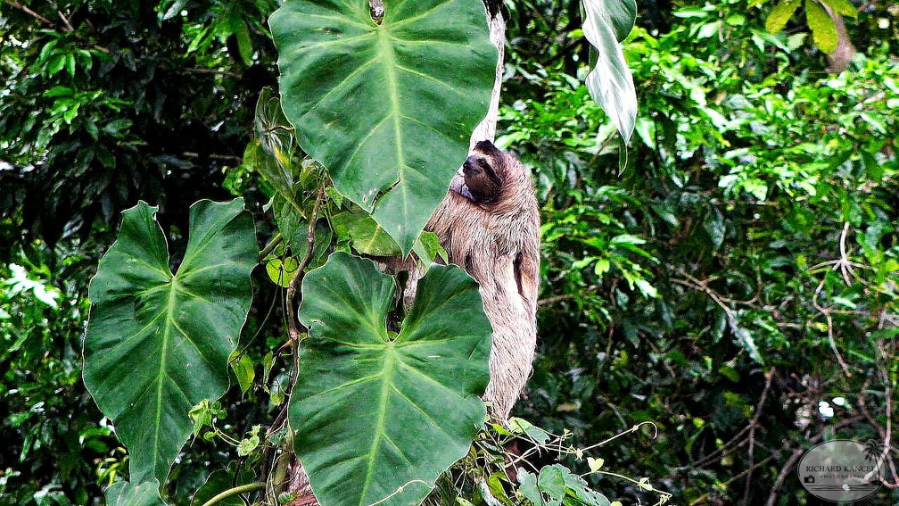 costa-rica-a165.jpg