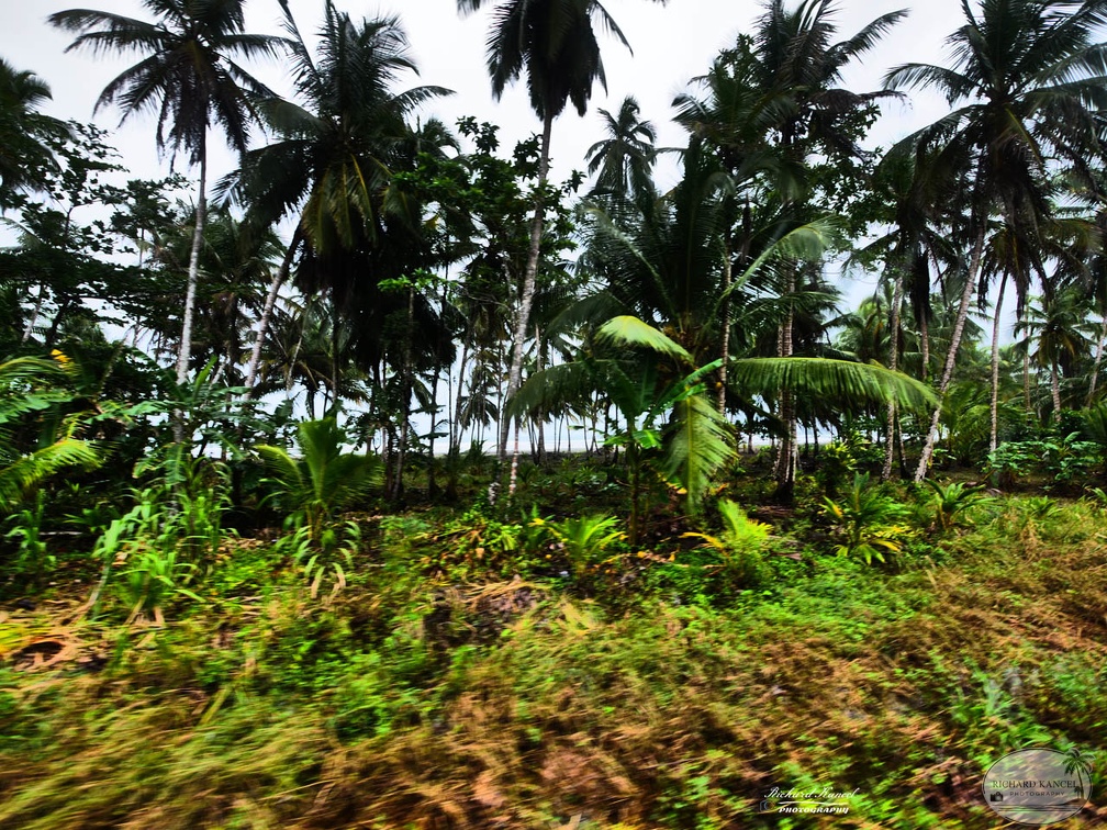 costa-rica-a191.jpg