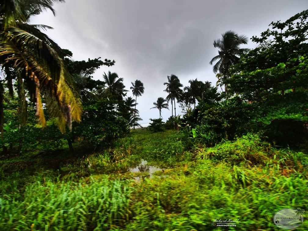 costa-rica-a194.jpg