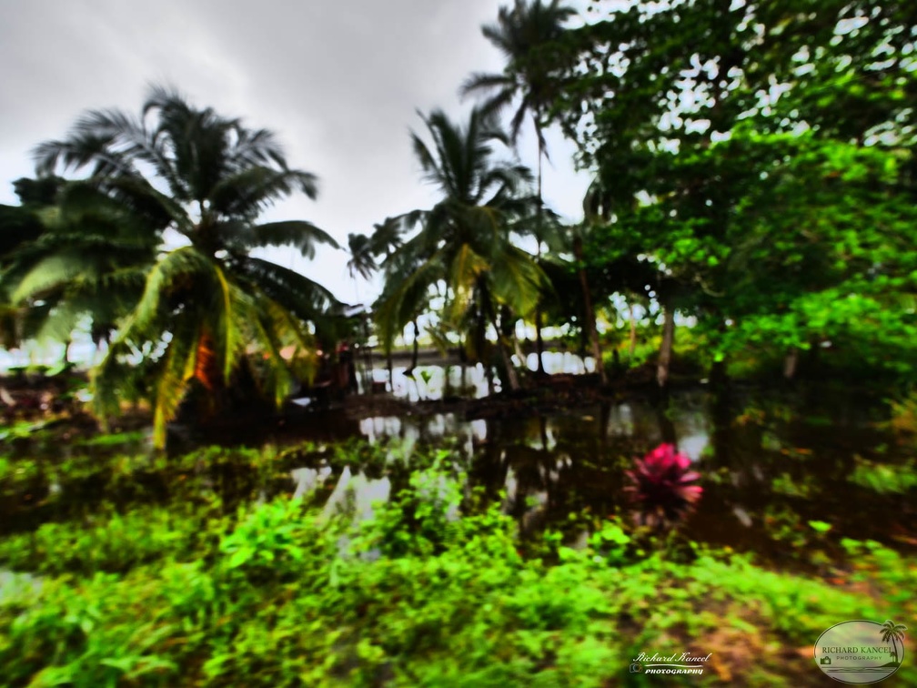 costa-rica-a195.jpg