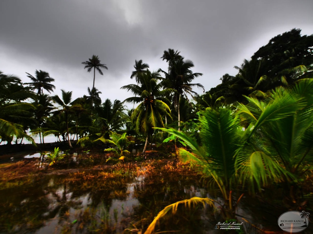 costa-rica-a197.jpg