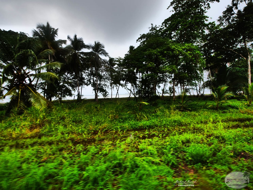 costa-rica-a198.jpg