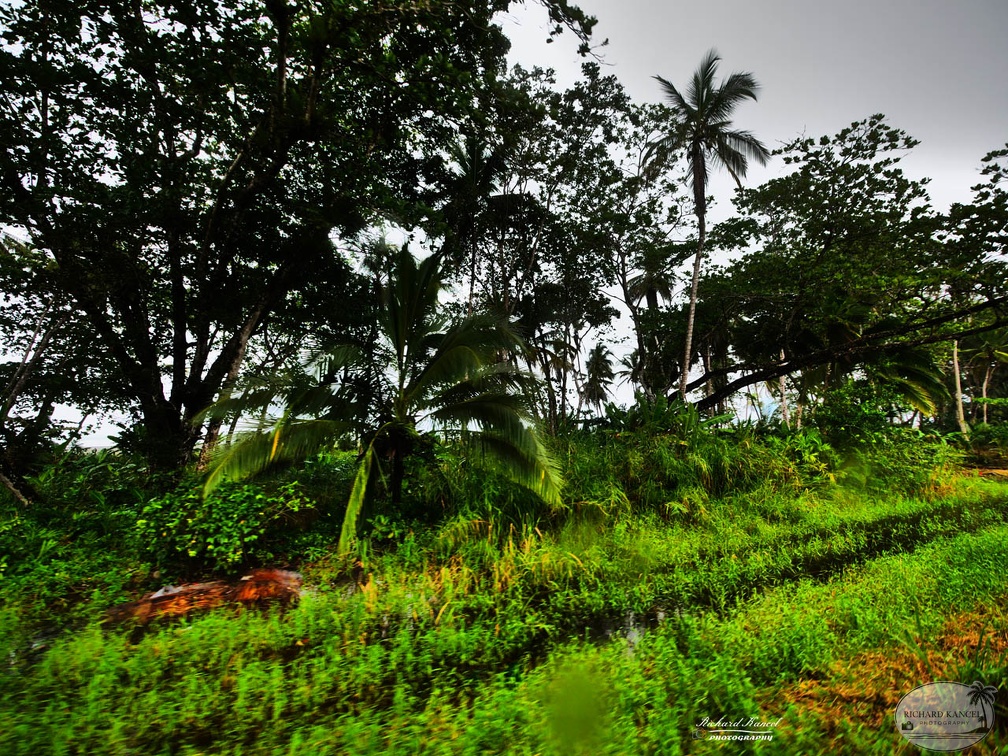 costa-rica-a200.jpg