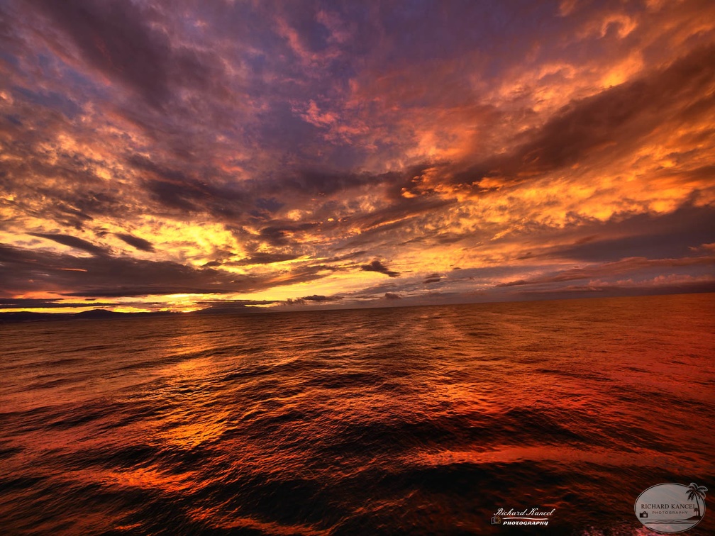 cruise-mer-a239.jpg
