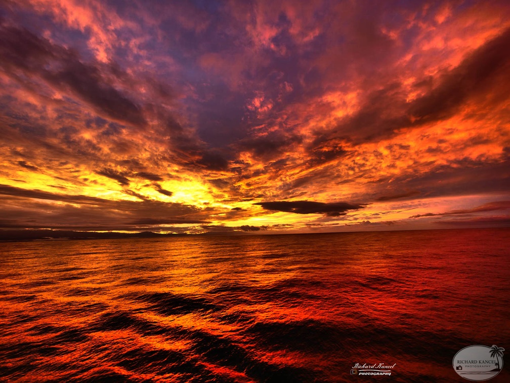 cruise-mer-a241.jpg