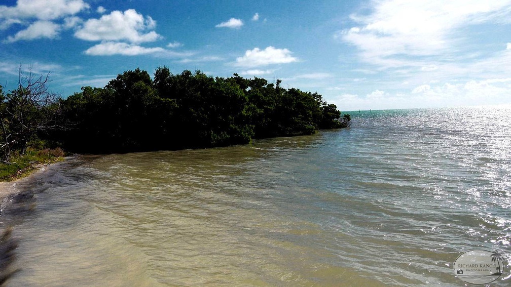 key-west-a455.jpg