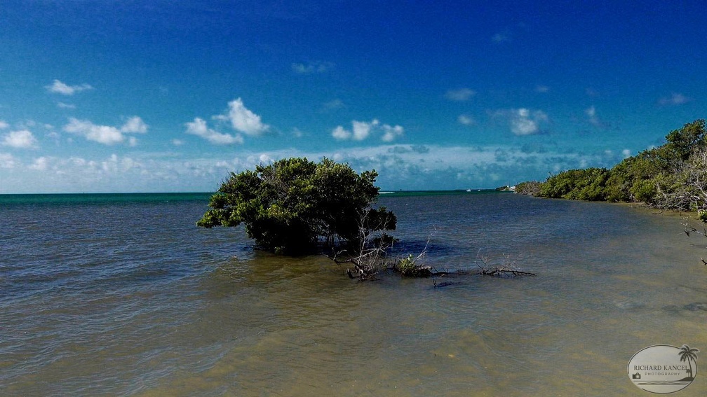 key-west-a456.jpg