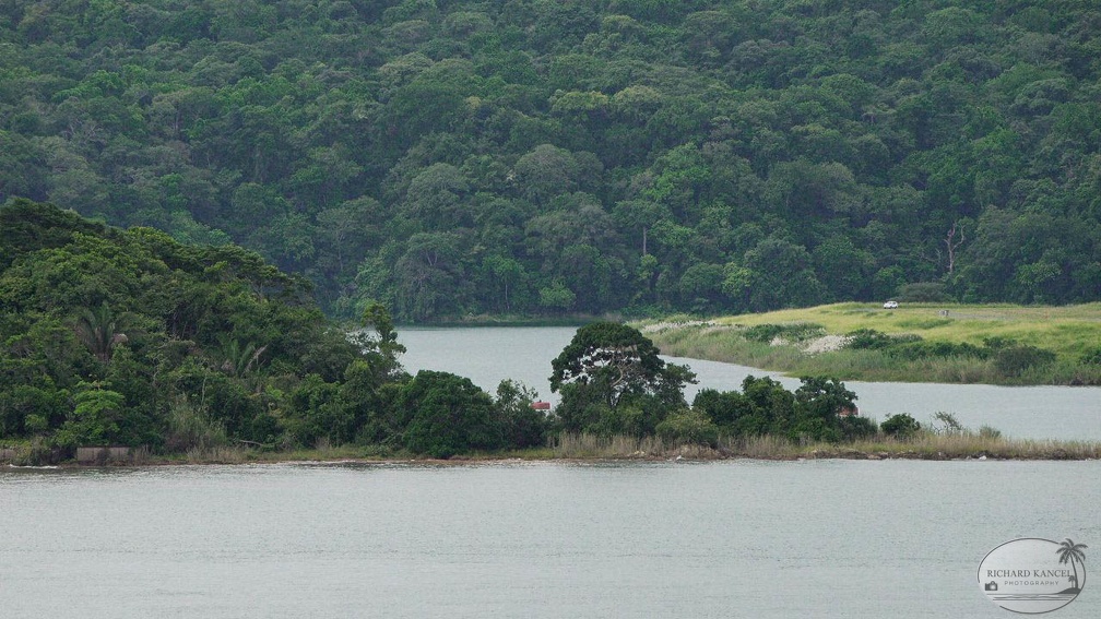 panama-f646.jpg