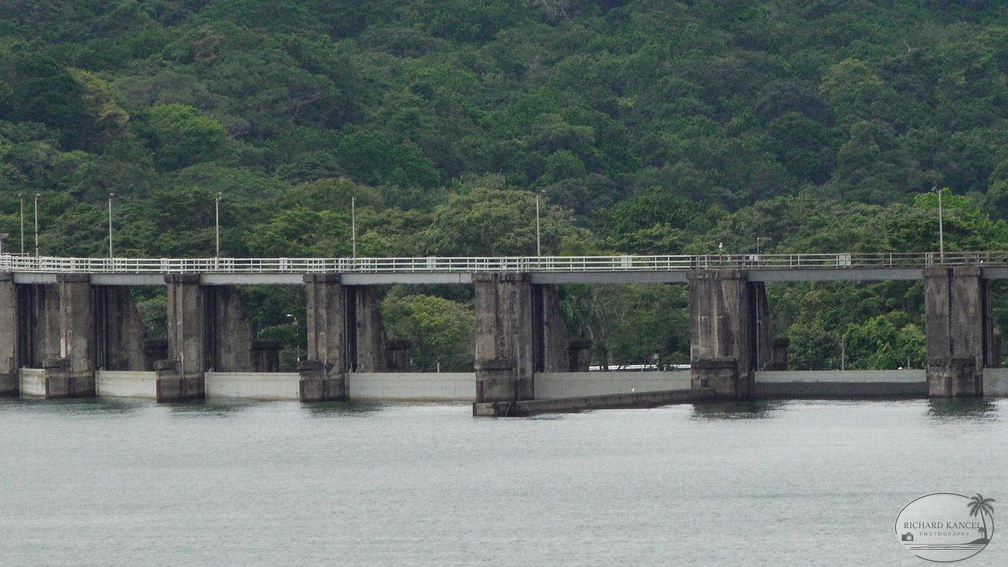 panama-f647.jpg