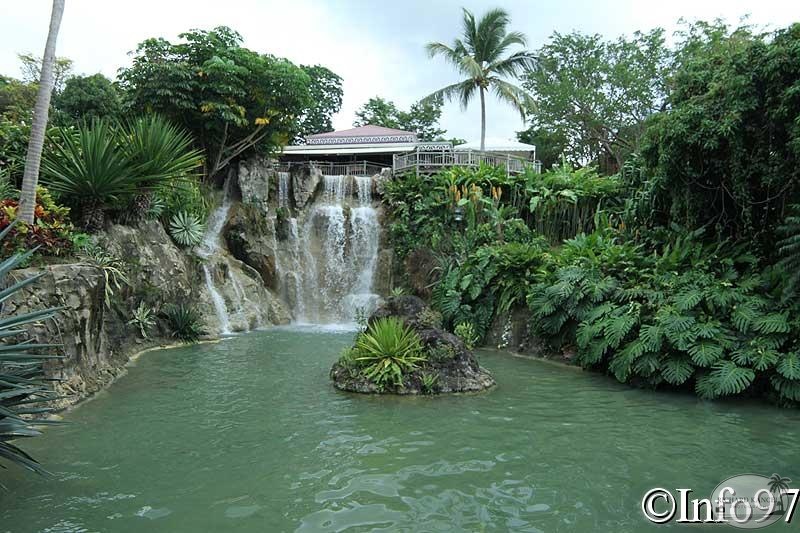 jardin-botanique-deshaies42.jpg