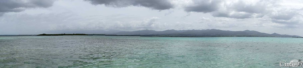 PaMooramics-mangrove9.jpg