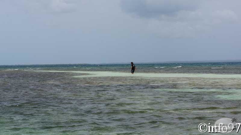 la-mangrove19.jpg