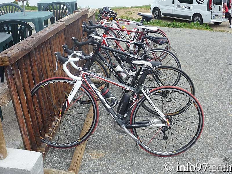 pyrennees-1.jpg