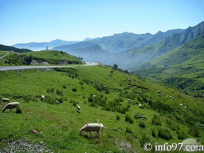 pyrennees-30.jpg