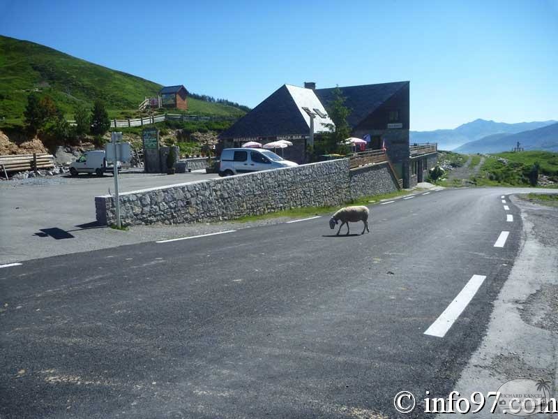 pyrennees-31.jpg