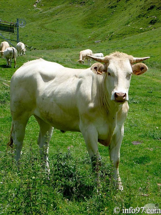 tourmalet23.jpg