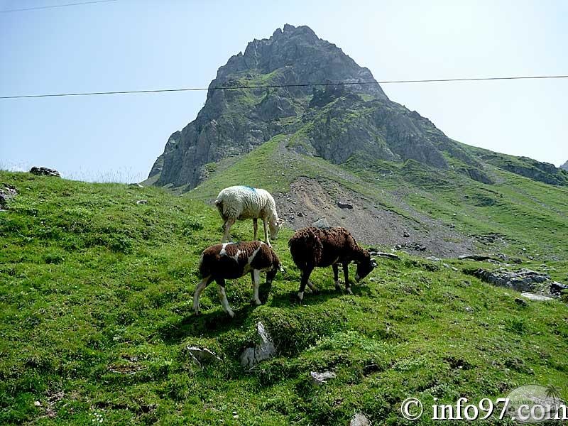 tourmalet25.jpg