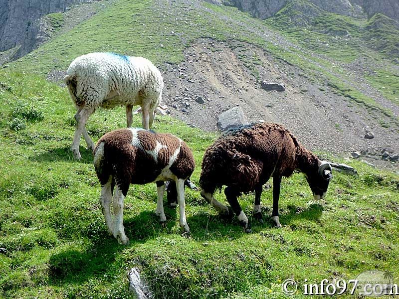 tourmalet26.jpg