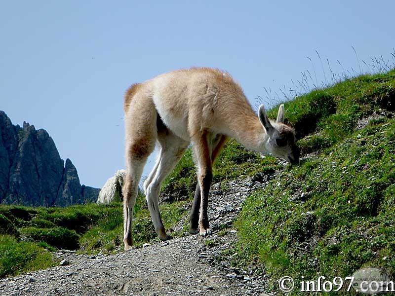 tourmalet9.jpg