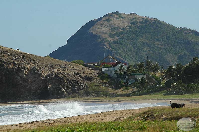 paysage34.jpg