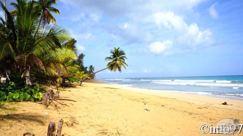 plage-saint-domingue10.jpg