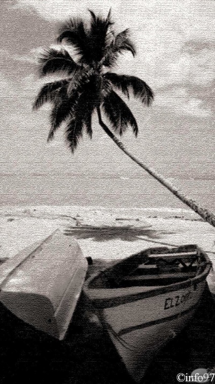 plage-saint-domingue19.jpg
