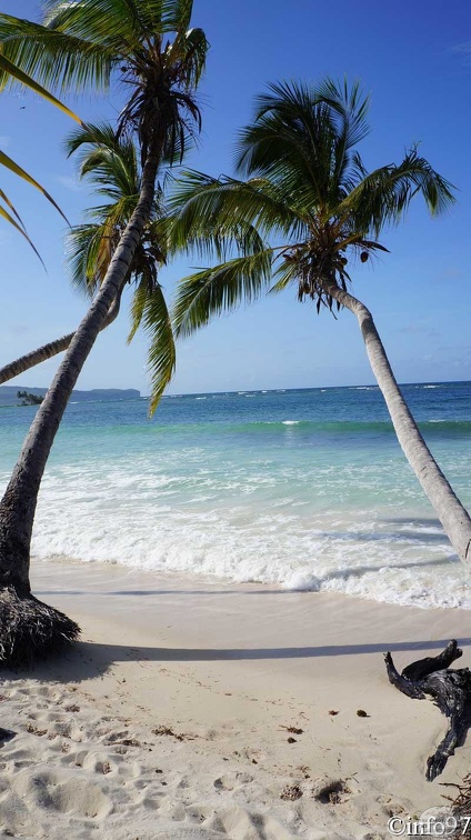 plage-saint-domingue46.jpg