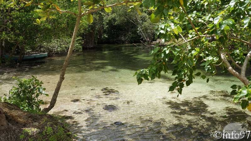 riviere-st12.jpg