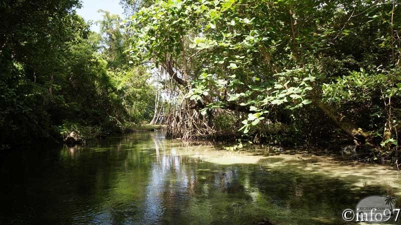 riviere-st29.jpg