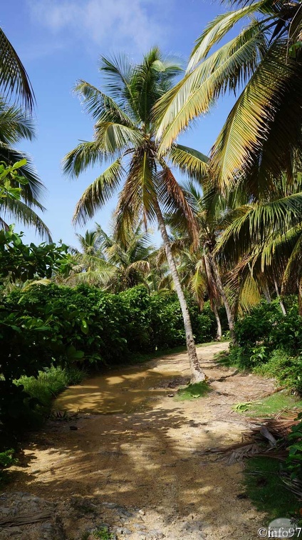 riviere-st48.jpg