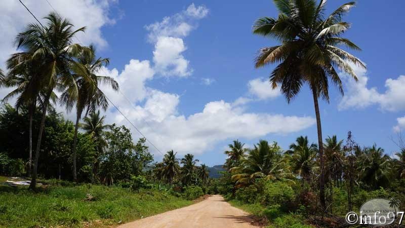 route-st-domingue44.jpg