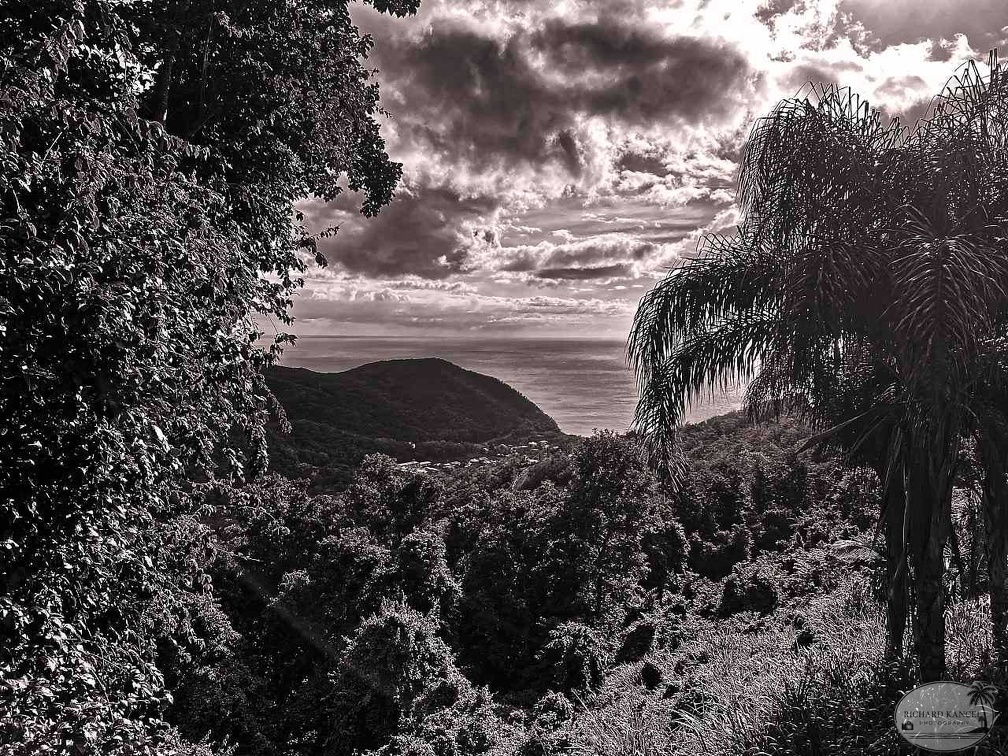 ferry-guadeloupe.jpg