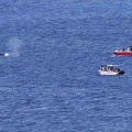 baleine-ferry-6.jpg