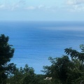IMG_6051-bornave.jpg
