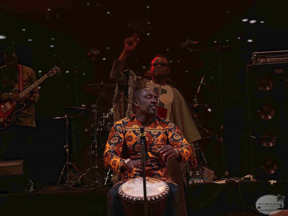 _1071596-youssou-ndour-terre-de-blues.jpg