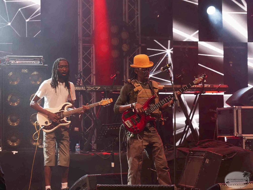 _1071438-aswad-terre-de-blues.jpg