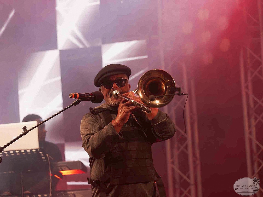 _1071440-aswad-terre-de-blues.jpg