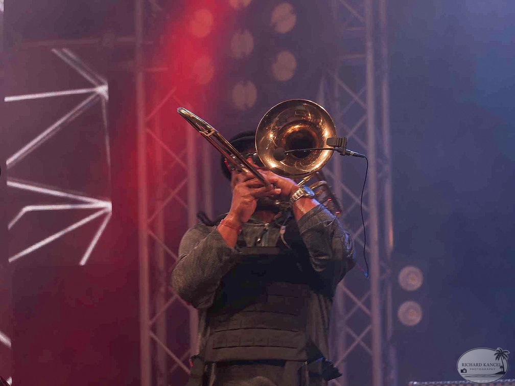 _1071446-aswad-terre-de-blues.jpg
