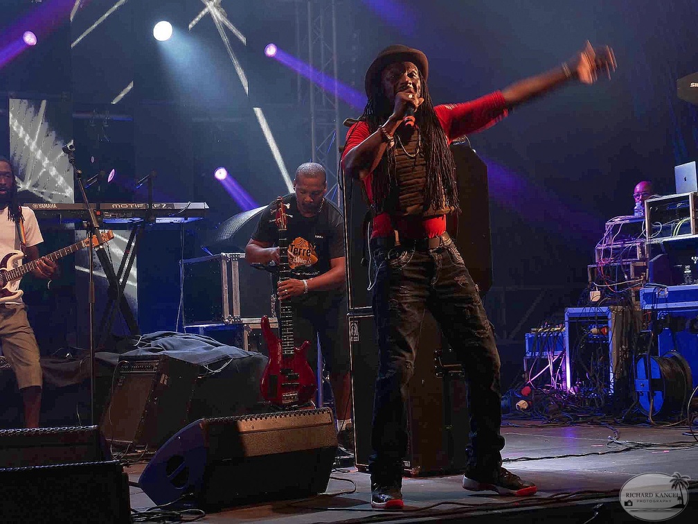 _1071450-aswad-terre-de-blues.jpg