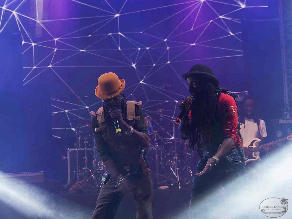 _1071456-aswad-terre-de-blues.jpg