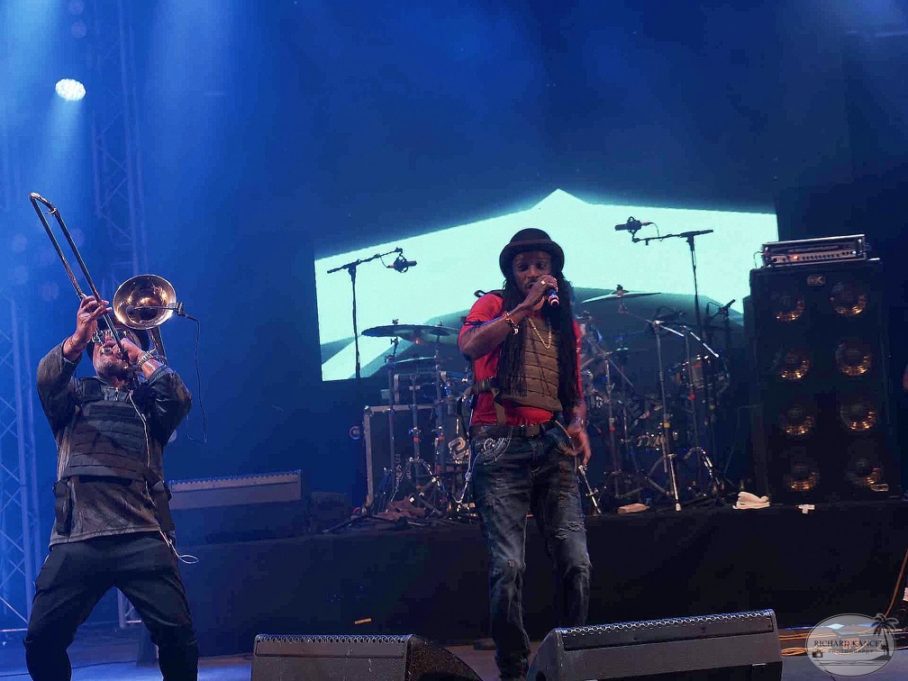 _1071458-aswad-terre-de-blues.jpg