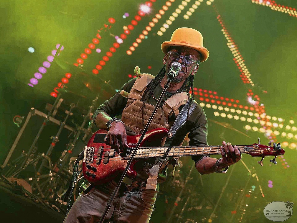 _1071475-aswad-terre-de-blues.jpg