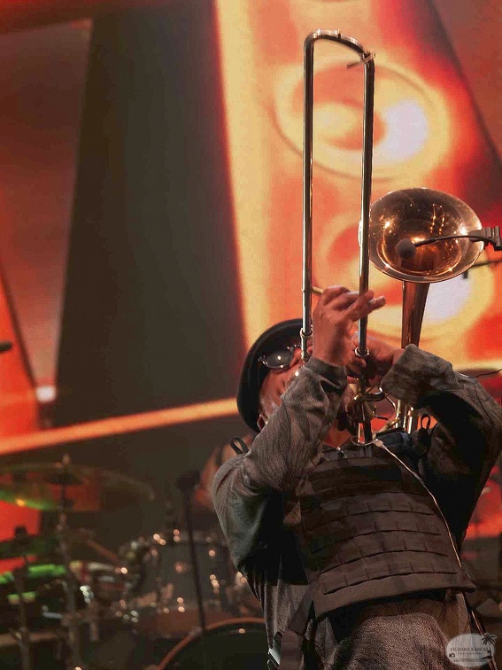 _1071480-aswad-terre-de-blues.jpg