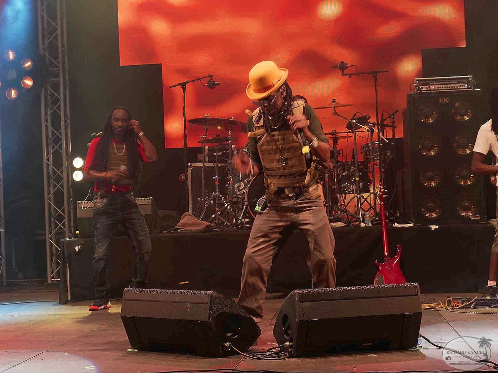 _1071483-aswad-terre-de-blues.jpg