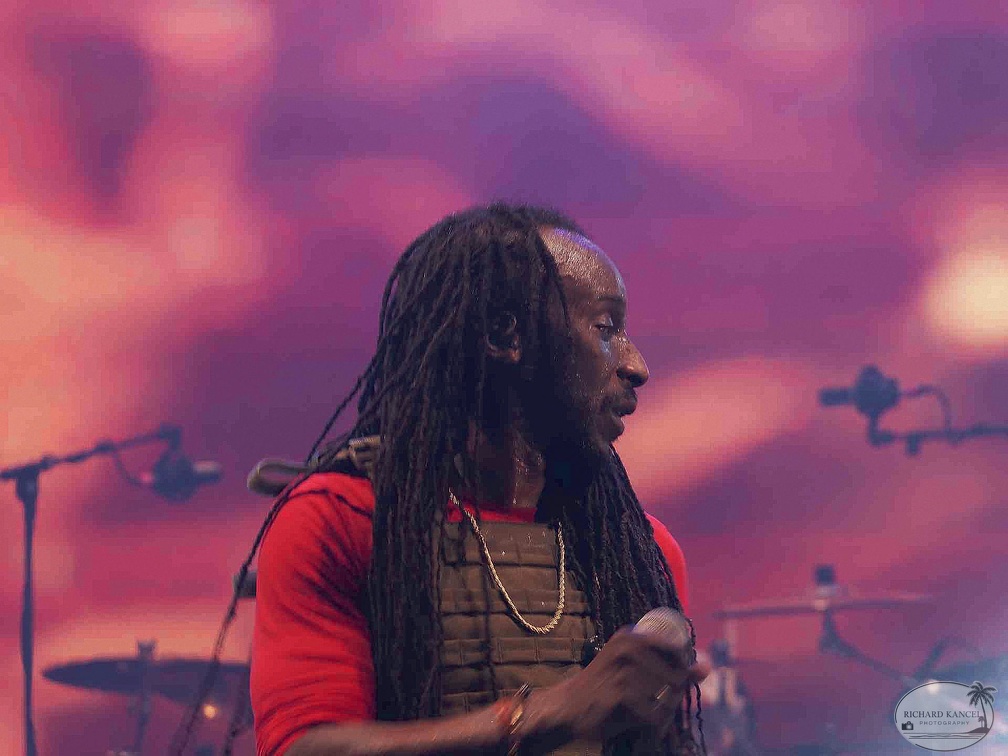_1071487-aswad-terre-de-blues.jpg