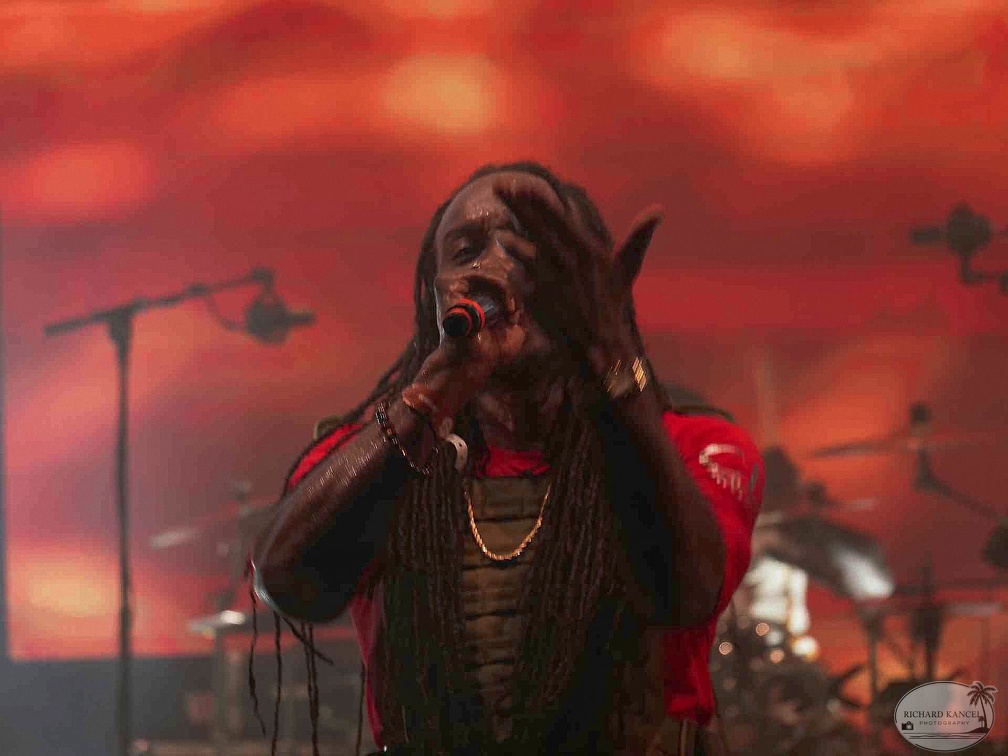 _1071495-aswad-terre-de-blues.jpg