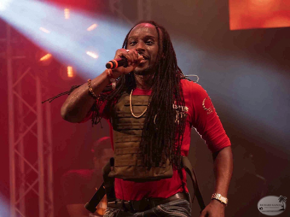 _1071502-aswad-terre-de-blues.jpg